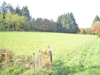Building Plot Of 8,407 m2 In The..