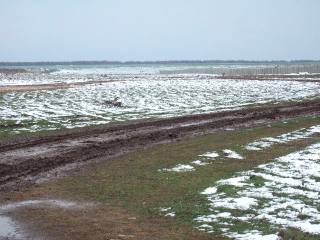 Land in Lyakhovo, Balchik