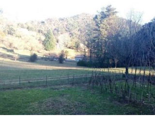 Superb Countryside Property with Views