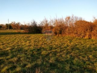 Istra, Marčana- građevinsko zemljište od 1535m2