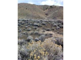 Land For Sale: Verdi, Nevada