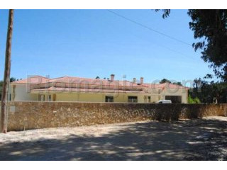 T5 - House