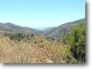 Rural land for Sale in Torrox, Torrox..