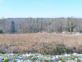 Building Land
