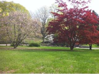 Land For Sale: Pound Ridge, New York