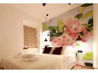 3 apartmana u strogom centru, 1.kat
