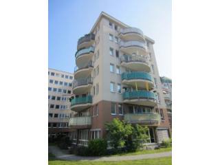 Modernized Apartment near Schloss..