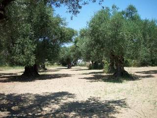 Land - Zakynthos - For Sale