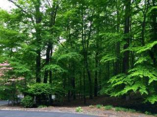 Land For Sale: 26 Arborview Way