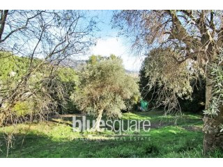 Land with sea view in Nice - Gairaut