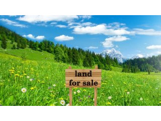 A Dreamlike Plot In Piesendorf!