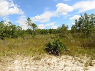 Land For Sale: Jupiter, Florida