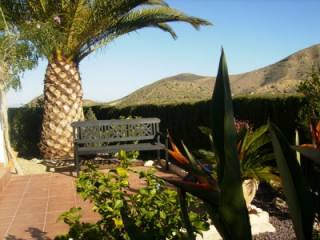 Villa - Amazing fully renovated south..