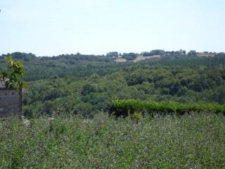 25203 - Vente - Terrain - Vergt
