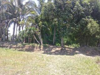 Land For Sale Pak Chong Nakhon..