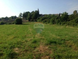 Istra, Žminj - građevinsko zemljište u srcu Istre