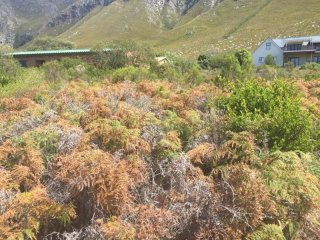 Bettys Bay Vacant Land, Bettys Bay