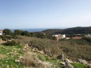 West Crete Real Estate
