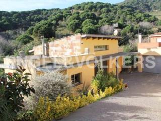 House surrounded by nature, Alella