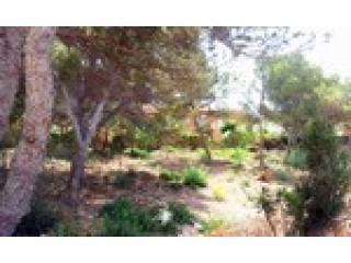 - Land - For Sale