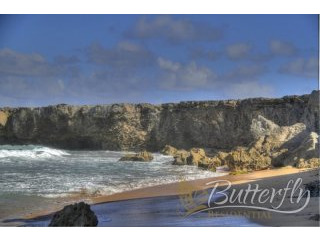 - Land - Saint Lucy - For Sale - USD..