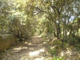 Artà, finca plot with basic project for..