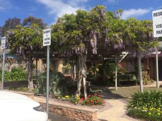 Lakeview Village - Independent Living -..