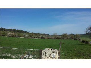 Land For Sale In Montuïri
