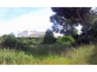 - Land - For Sale
