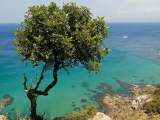 Land in Paphos, Cyprus, for Sale -..