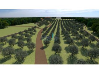 Istra, Bale zemljište 12200 m2
