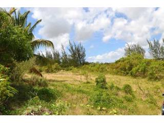 Property For Sale: Campaign Tenantry..