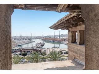 Great investment in frontline Palma