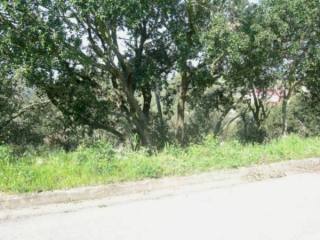 PLOT WITH VIEWS TO THE TOWN OF BEGUR