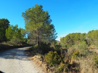 - Land - Alicante - For Sale