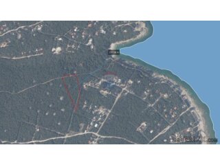 Istra, Peruški okolica, šuma blizu mora