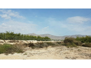 Land, (plot 13000m2), Albatera