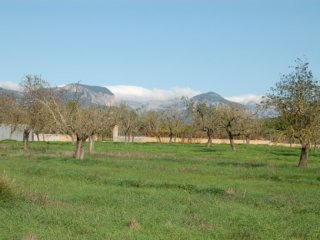 Lovely Plot With Distant Mountain Views..