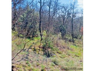 POLJOPRIVREDNO ZEMLJIŠTE – 7.399 m² – KALAC,PRODAJA!