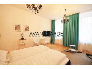 Stylish apartment in the 9th district