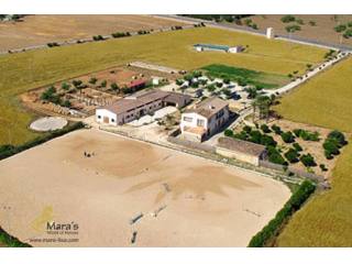 Centro ecuestre hipica finca Manacor..
