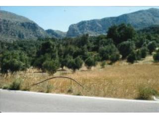 Land For Sale In Crete