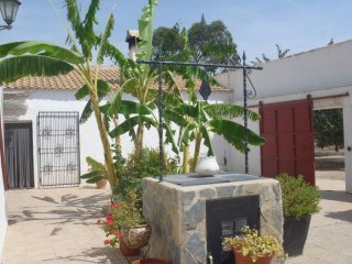 6 Bedrooms - Land - Murcia - For Sale