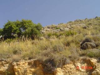 Land for sale in Coin