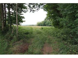 27136 - Vente - Terrain - Vergt