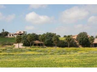 Finca Located In A Big Plot Of Land Of..