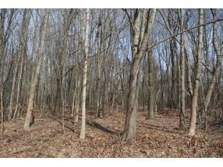 Land For Sale: Pound Ridge, New York