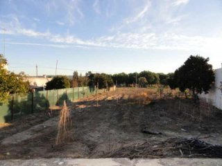 Land For Sale - Santarem