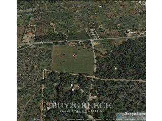 Β716 - FOR SALE LAND OF 19 ACRES