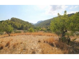 A 15,300m2 plot for sale in the..